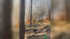 Великі загоряння у харківських лісах виникли через обстріли й атаки БпЛА