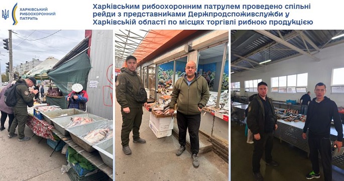 Рейди на ринках Харкова та області: де виявили свіжу рибу без документів
