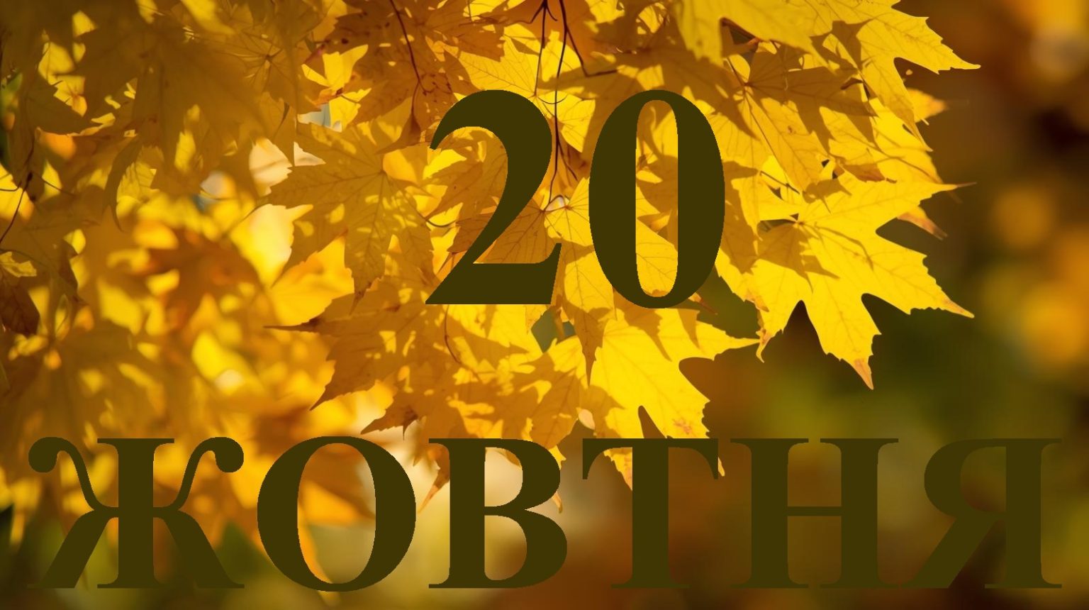 Сьогодні 20 жовтня 2025: яке свято та день в історії