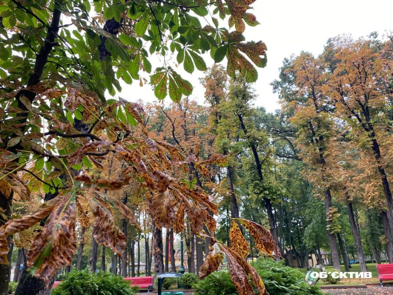 Немного потеплеет: прогноз погоды в Харькове и области на 3 октября