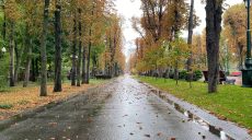 Вдень тепло і невеликий дощ. Прогноз погоди на 4 жовтня у Харкові й області
