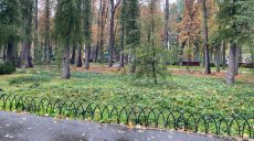 Новини Харкова — головне 9 жовтня: розстріл у Куп’янську, чи будуть графіки