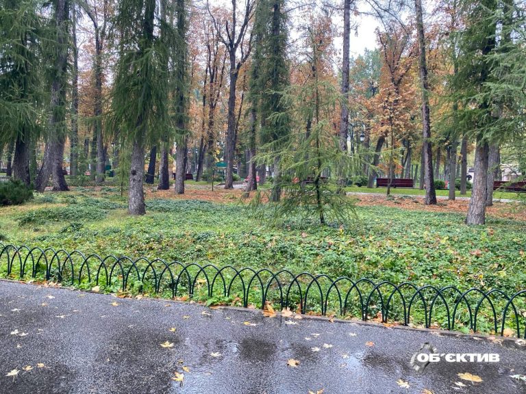Новости Харькова — главное 9 октября: ситуация в Купянске