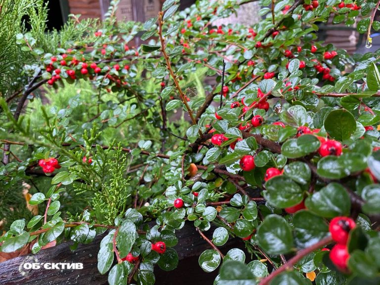 Новини Харкова – головне за 8 жовтня: що горіло в регіоні