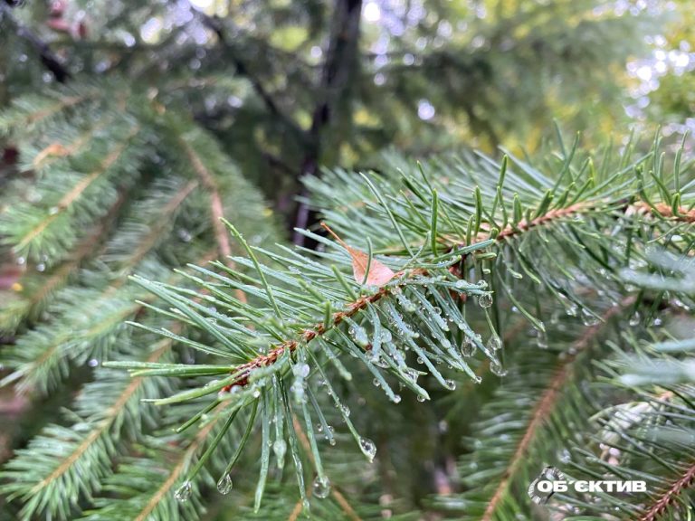 Хмарно і дощитиме: прогноз погоди в Харкові та області на 5 жовтня