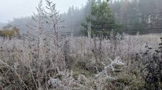 Попереду – морозні ночі: прогноз погоди в Харкові та області на 16 жовтня
