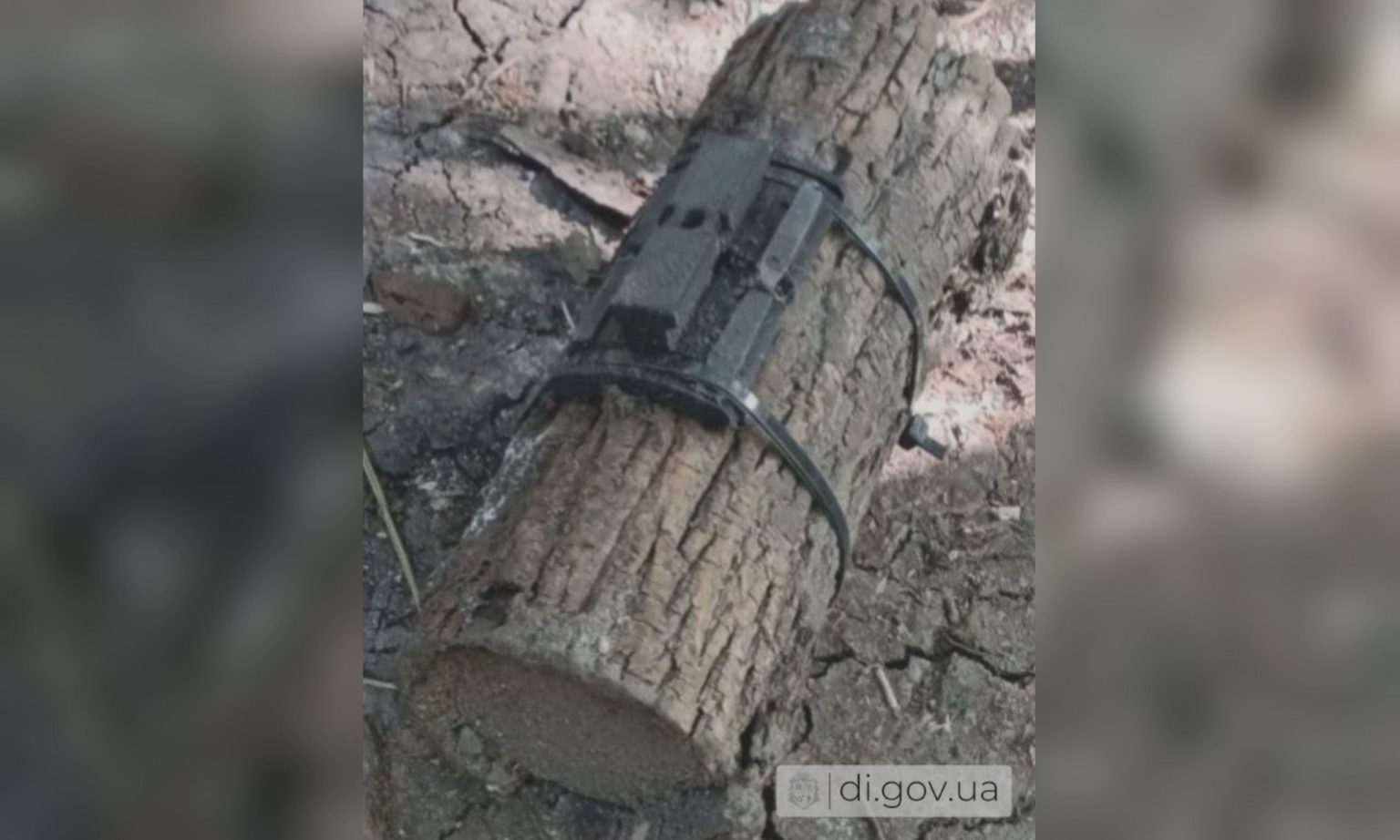 «Дрова-обманки» на Харьковщине: за последние недели зафиксировали три случая