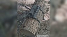 «Дрова-обманки» на Харьковщине: за последние недели зафиксировали три случая
