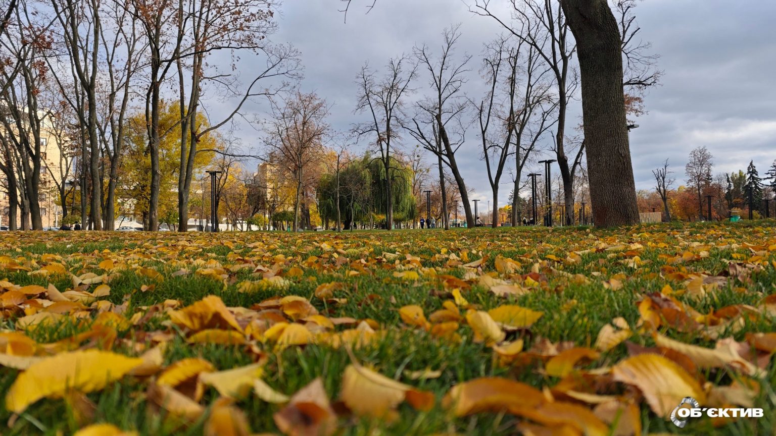 Харьков и область накроет туман: прогноз погоды на 2 ноября