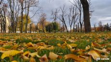 Харків й область накриє туман: прогноз погоди на 2 листопада