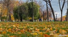 Вночі та вранці туман. Прогноз погоди на 5 листопада у Харкові й області