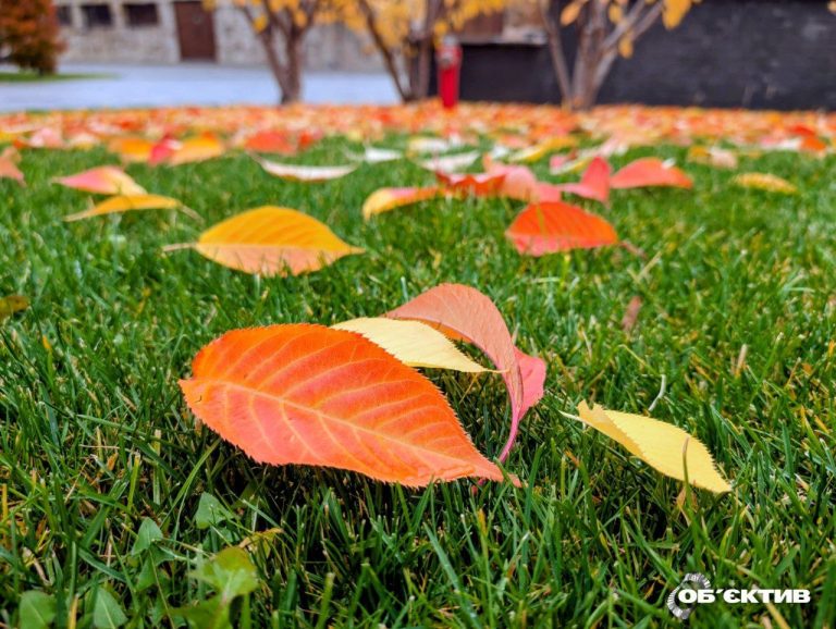Ночью дождь и туман. Прогноз погоды на 30 октября в Харькове и области