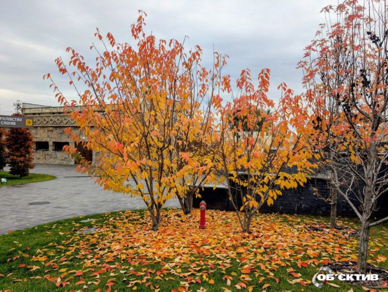 Новости Харькова – главное 30 октября: массированная атака, опаздывают поезда