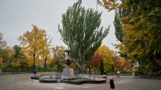 Новини Харкова – головне за 19 жовтня: за добу – загиблий і 14 постраждалих
