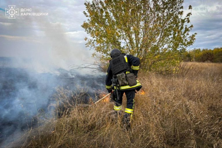 На Харьковщине горело 1,5 га после «прилета» беспилотника (фото)