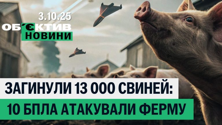 РФ атаковала газдобычу и убила 13 тысяч свиней Харьковщины — итоги 3 октября