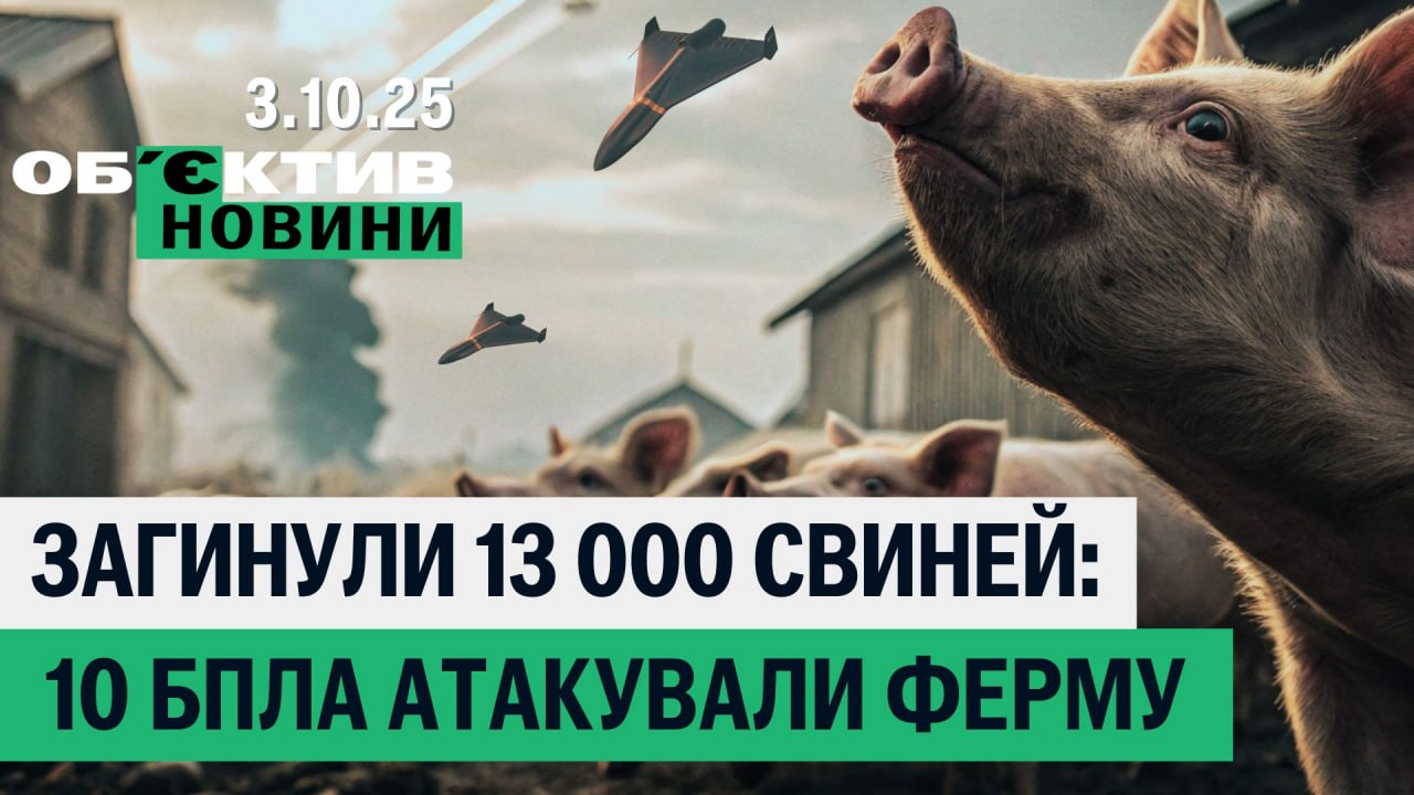 РФ атаковала газдобычу и убила 13 тысяч свиней Харьковщины — итоги 3 октября