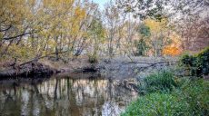 Коричневий рівень небезпеки: про стихійне явище попереджають на Харківщині
