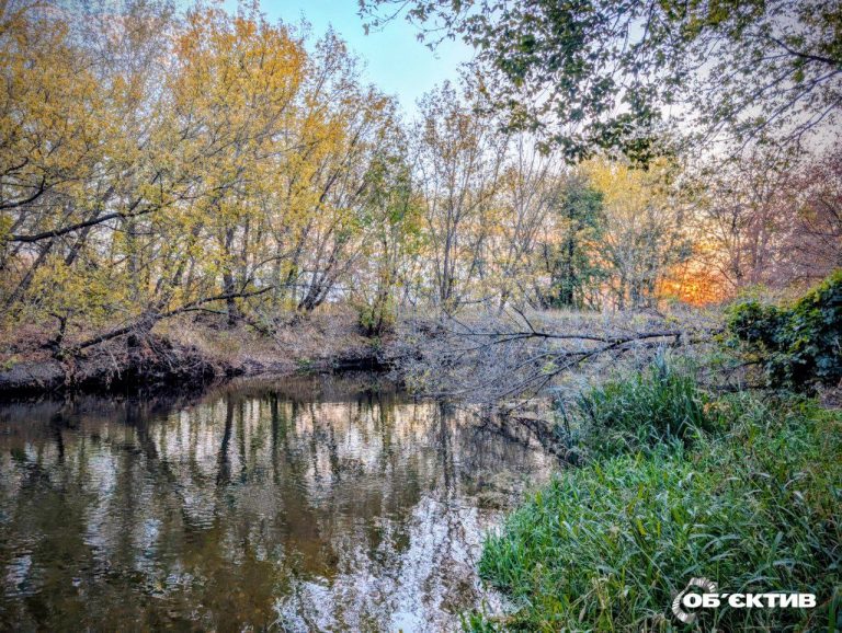 Стихійне явище на Харківщині: оголошений коричневий рівень небезпеки