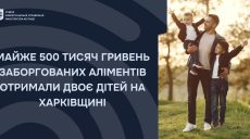 З жителя Харківщини, який не платив аліменти двом дітям, стягнули 480 тис. грн