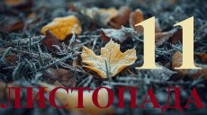 Сегодня 11 ноября 2025: какой праздник и день в истории
