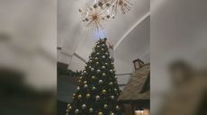 Свято наближається? Де в Харкові вже прикрасили ялинку (фото)