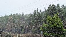 Перший сніг пішов у Харкові (фото, відео)