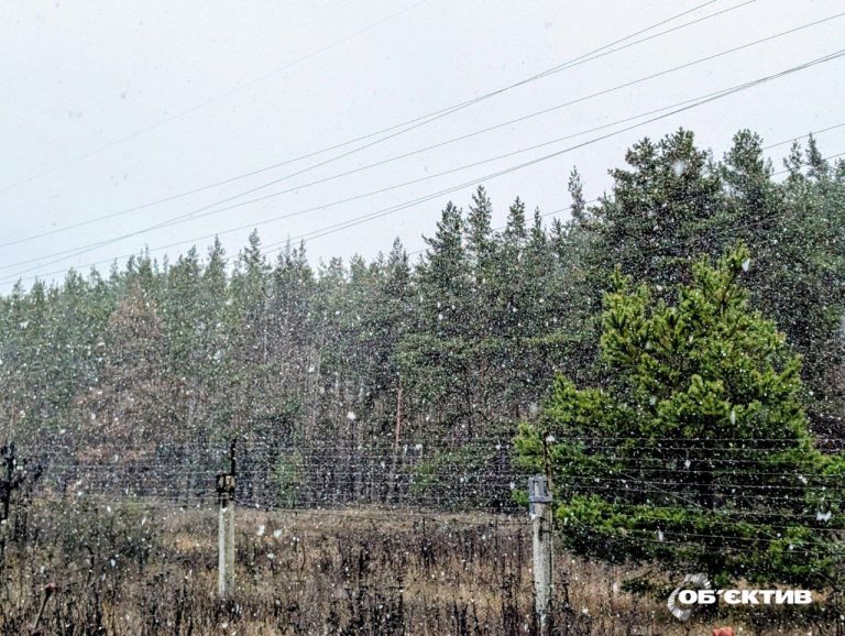 Первый снег пошел в Харькове (фото, видео)