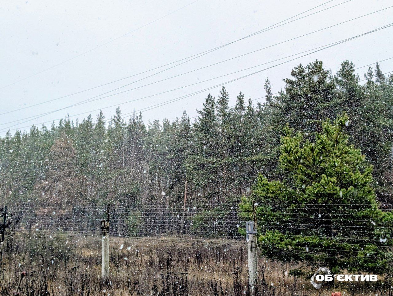 Первый снег пошел в Харькове (фото, видео)