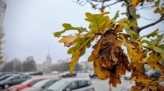 Новости Харькова – главное 25 ноября: ситуация с водой в городе