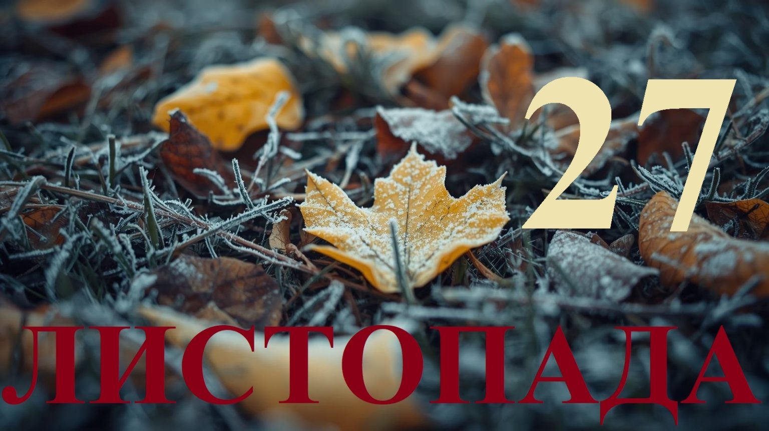 Сьогодні 27 листопада 2025: яке свято та день в історії