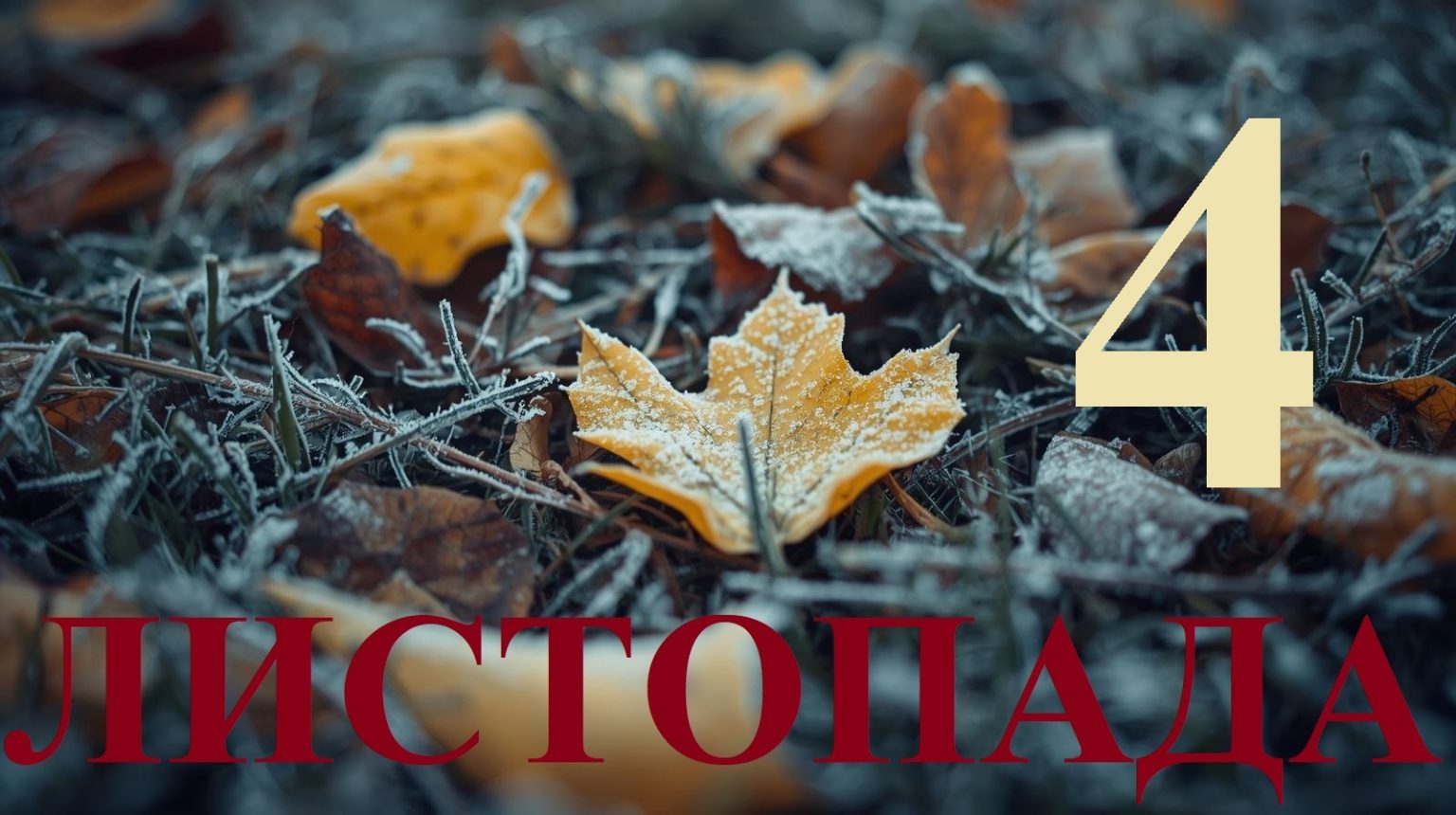 Сегодня 4 ноября 2025: какой праздник и день в истории