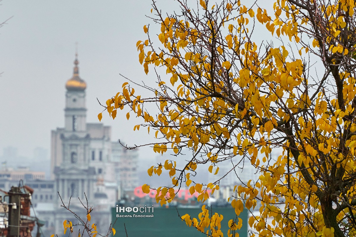 Новости Харькова — главное за 4 ноября: успехи СОУ на Купянщине