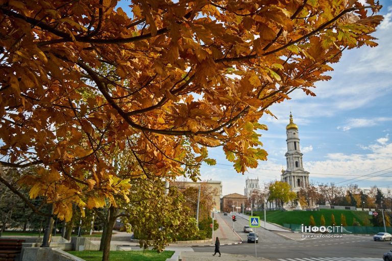 Новости Харькова — главное за 5 ноября: ситуация на Купянщине