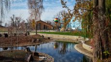 Новости Харькова — главное 7 ноября: атака на Чугуев, враг вновь продвинулся