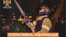 ДСНС: у регіоні горіли склад, будівельне сміття та територія лісгоспу