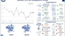 Что подорожало и подешевело на Харьковщине – инфографика облстата