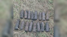 Снаряди часів Другої світової війни знайшли в полі на Харківщині (фото)