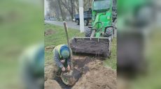 Зелена алея незабаром з’явиться в одному з районів Харкова: що висаджують 📷