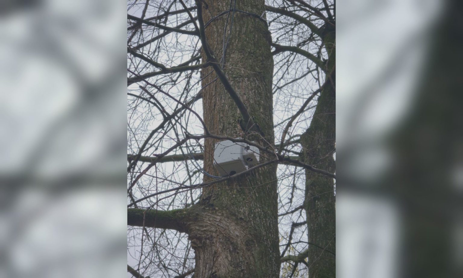 У Харкові встановили ультразвукові пристрої: навіщо, чи безпечно для людей