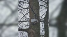 У Харкові встановили ультразвукові пристрої: навіщо, чи безпечно для людей