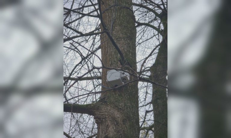 У Харкові встановили ультразвукові пристрої: навіщо, чи безпечно для людей