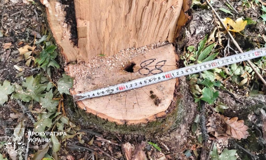 черные лесорубы на Харьковщине