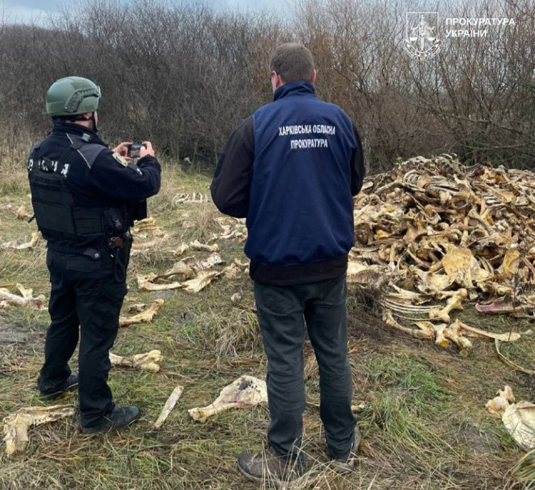 Свалку костей животных обнаружили на Харьковщине – прокуратура разбирается