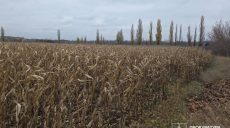 14 млн долга за аренду и не только: почему у ХТЗ забрали землю через суд