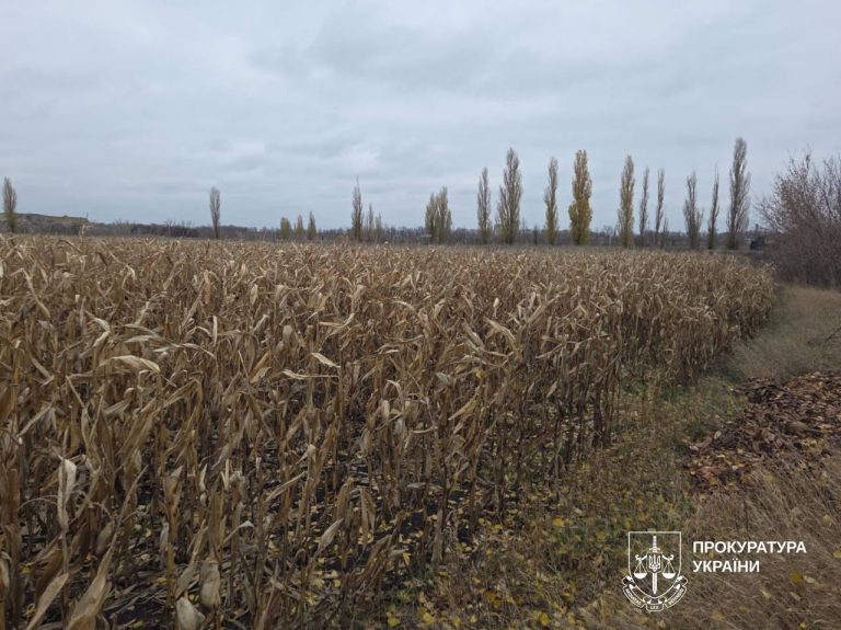 14 млн долга за аренду и не только: почему у ХТЗ забрали землю через суд