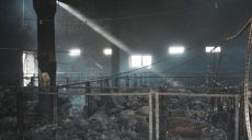 Удар по фермі на Харківщині, де загинули тисячі свиней: відомі збитки