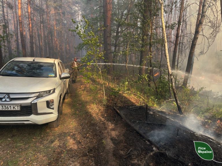 Масштабы лесных пожаров на Харьковщине в 2025 и 2024 годах сравнили лесоводы