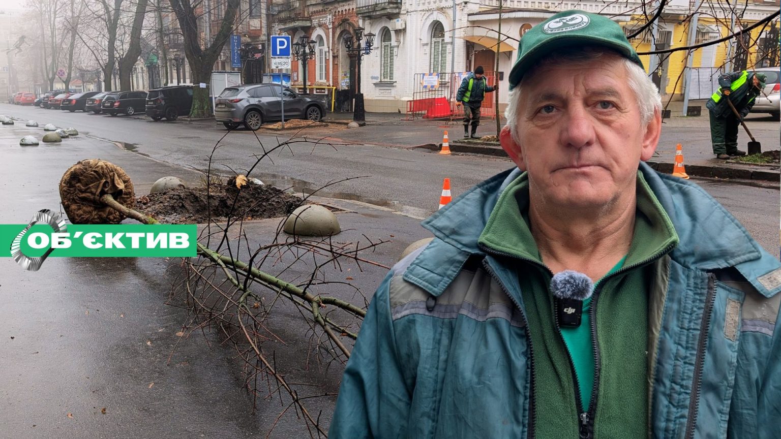 Дерева у центрі Харкова – вже “пенсіонери”: чим їх замінять (відео)