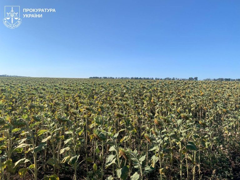 На Харківщині «бізнесмен» захопив понад 80 га землі – прокуратура
